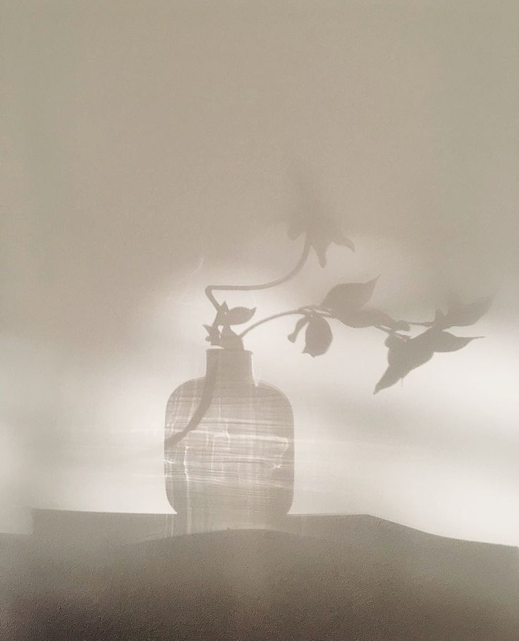 Eco-friendly packaging with natural textures